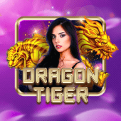 Dragon Tiger cover with dragon and tiger art